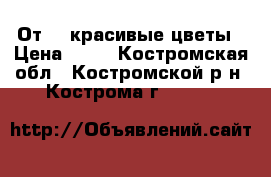 От 50-красивые цветы › Цена ­ 50 - Костромская обл., Костромской р-н, Кострома г.  »    